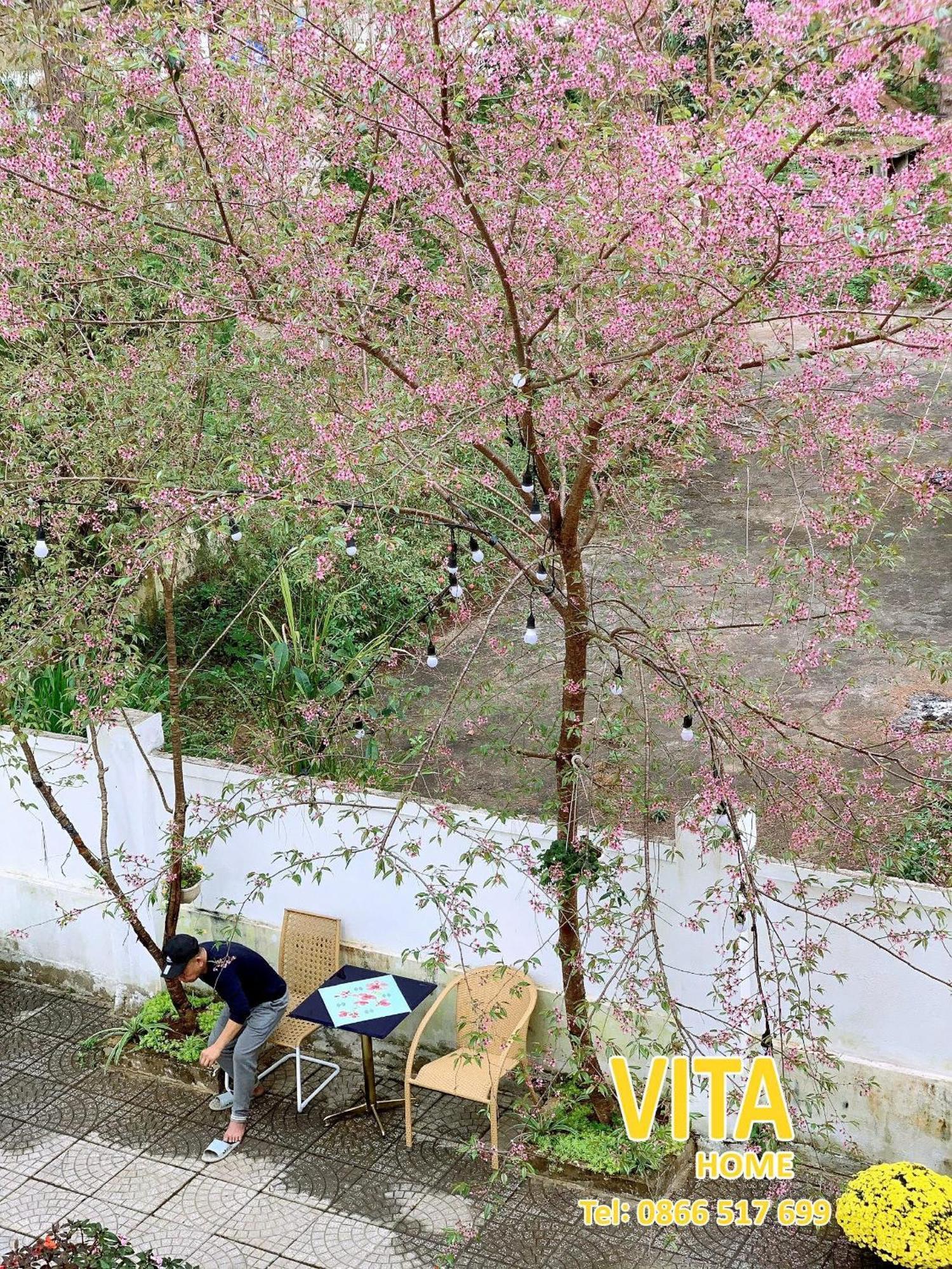 Vita Homestay Mang Den Kon Von Kla 外观 照片